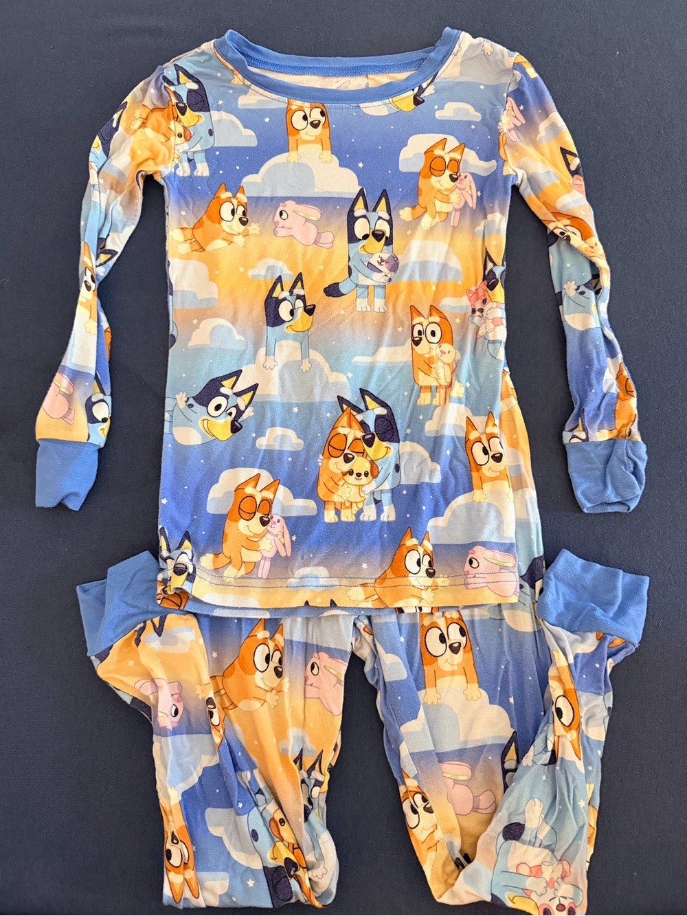 Toddler Bluey Cartoon Pajama Set